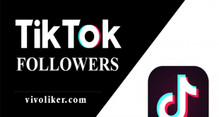 How to Increase Free Tiktok Real Fans or Follower? – VivoLiker Tools